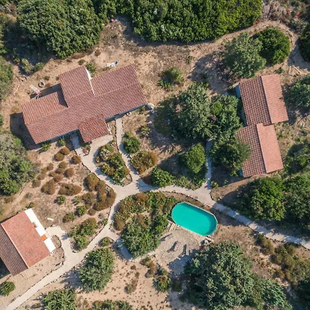 A Mare Di Ginepri 10d Mono